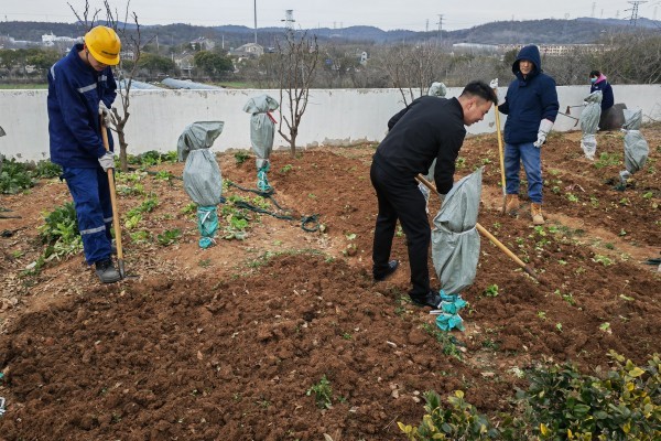 春雨潤沃野，不誤農(nóng)時(shí)不負(fù)春——南京海中組織開展義務(wù)種植勞動(dòng)