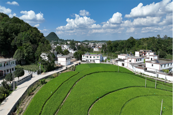 青綠為底 “錦繡”山河——海螺環(huán)保助力守護綠水青山